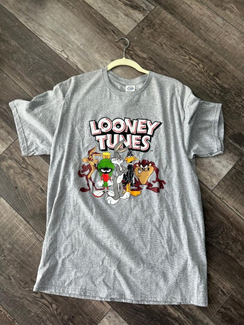 Looney Tunes Gray T Shirt Size Large New Old Stock